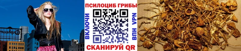 Галлюциногенные грибы прущие грибы  Балей 
