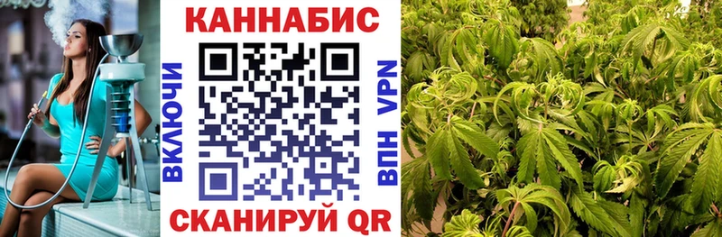 Бошки марихуана OG Kush  как найти наркотики  Балей 